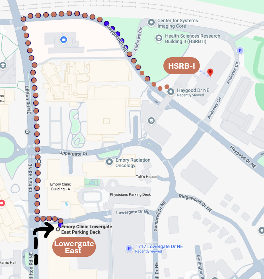 Walking directions from Lowergate East Deck to HSRB-I